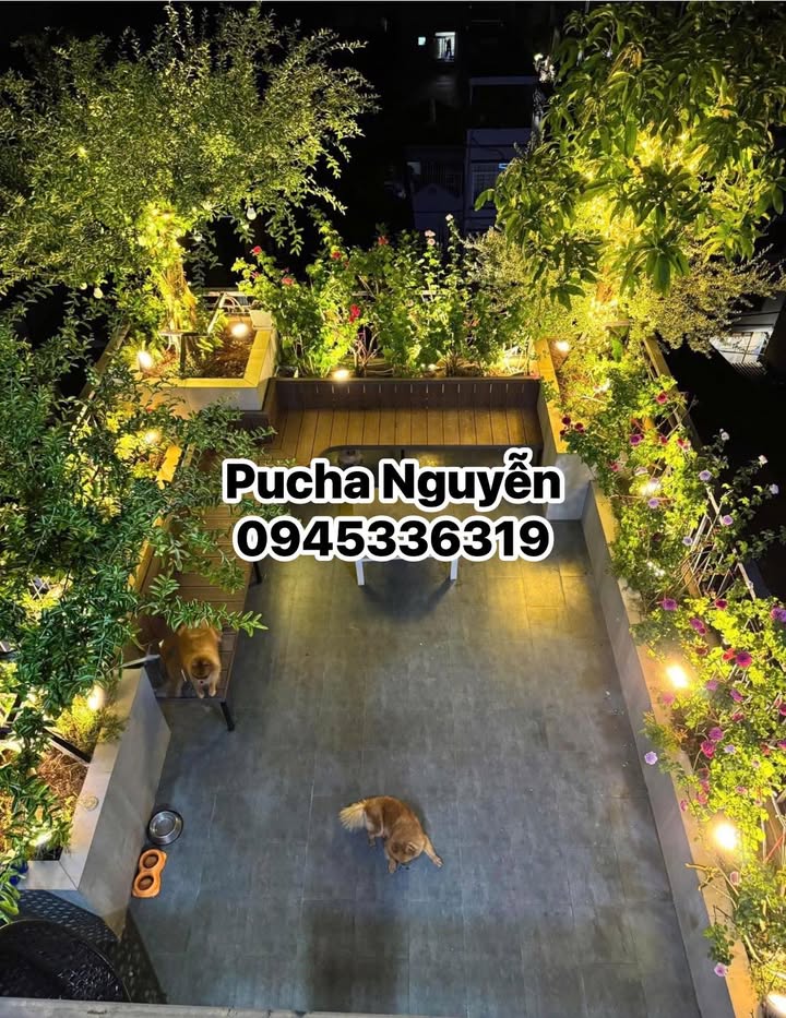 Nhà mặt phố Bạch Thái Bưởi, Văn Quán, 92m², giá 42 tỷ - Kinh doanh lý tưởng!