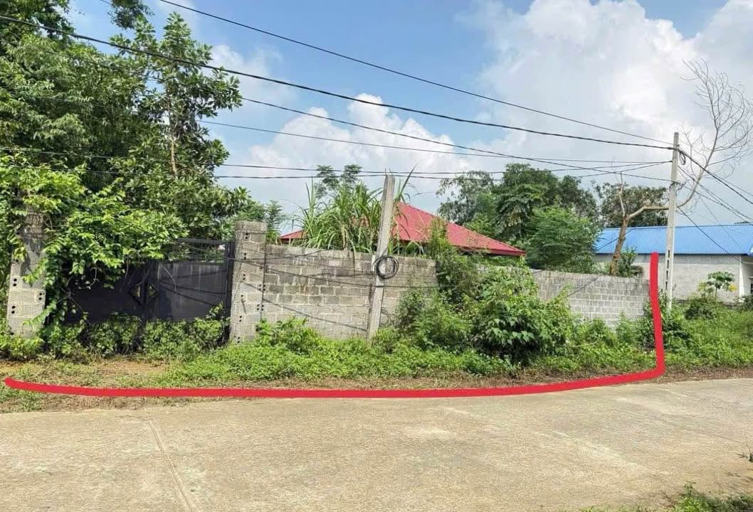 Lô đất Cư Yên, Lương Sơn 1000m² giá chỉ vài triệu - Cơ hội đầu tư hấp dẫn!