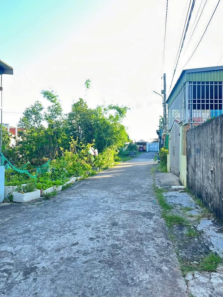 Đất nền CC Đất Ba Lan, phường Việt Hưng, 100m² giá 2.1 tỷ - Đường ô tô tận nơi!