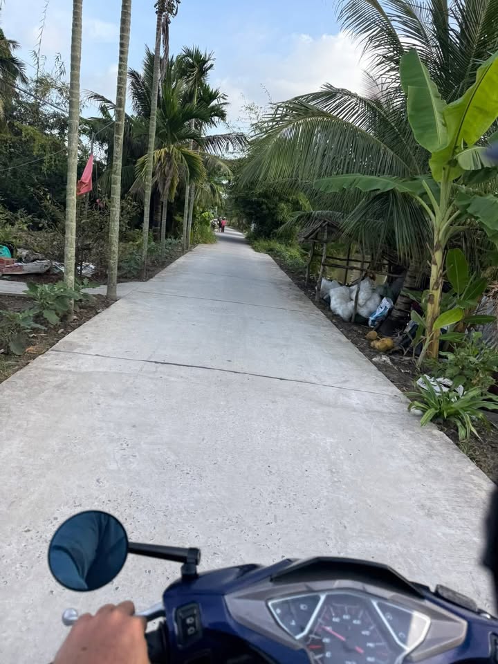 Đất nền ấp Ninh Hòa, xã Hồng Dân, 738m² - Cơ hội đầu tư tuyệt vời!