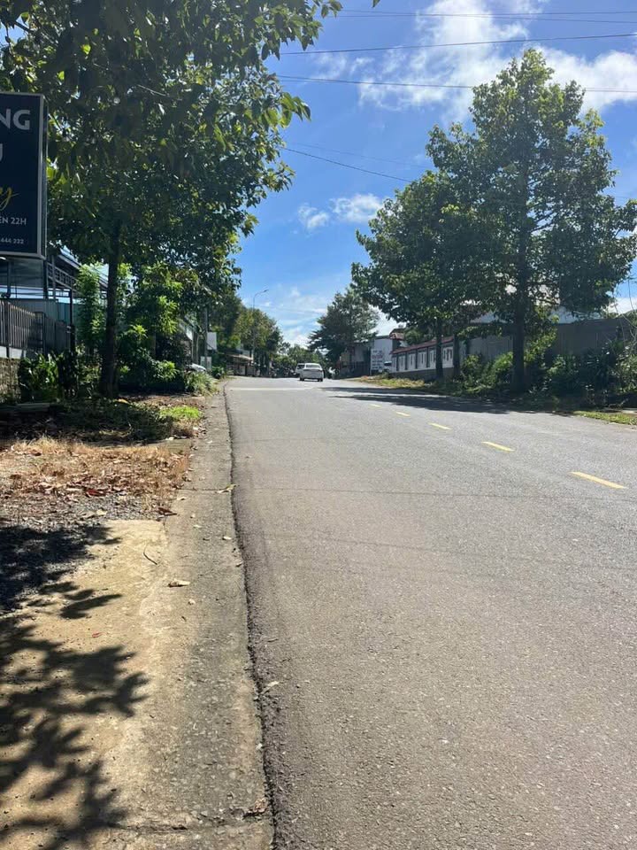 Đất nền Dĩ An 1000m² giá 17 tỷ - Vị trí đẹp, kinh doanh thuận lợi!