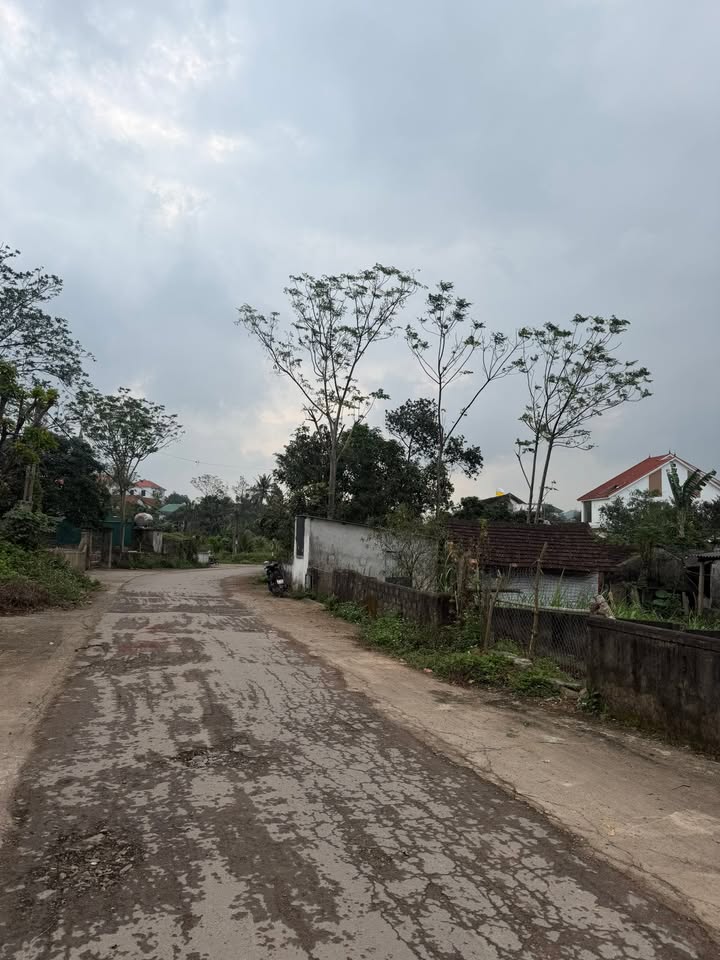 Đất nền Nam Nghĩa, Nam Đàn 294m² giá 1 tỷ - Vị trí đắc địa, tiện ích đầy đủ!