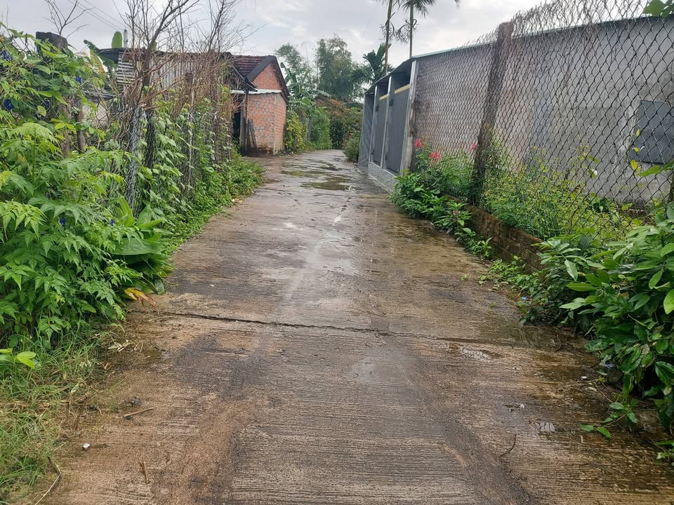 Đất Hòa Đồng - Tây Hòa 162m² chỉ 500 triệu - Đường ô tô thông thoáng!