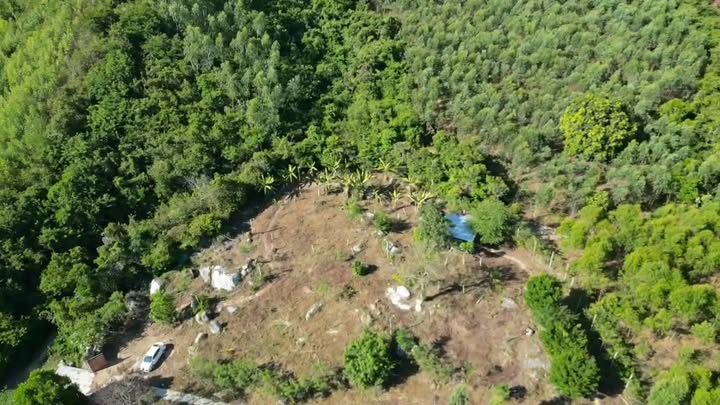 Lô Đất Nhà Vườn 4000m² tại Lỗ Chài, Phú Hoà - Giá 350 triệu, Ô Tô Vào Tận Nơi!