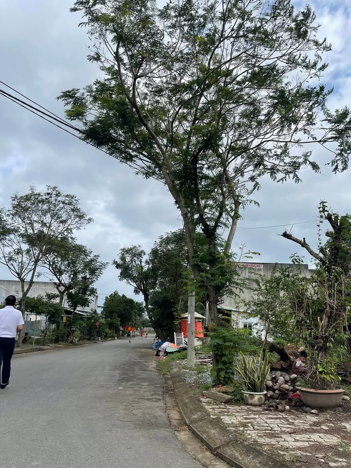 Đất TĐC Bá Tùng Đà Nẵng 120m² giá thỏa thuận - Cơ hội đầu tư tiềm năng