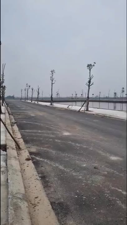 Đất nền góc Mặt Bằng Lai Thành 244m² - Đầu tư sinh lời hấp dẫn!