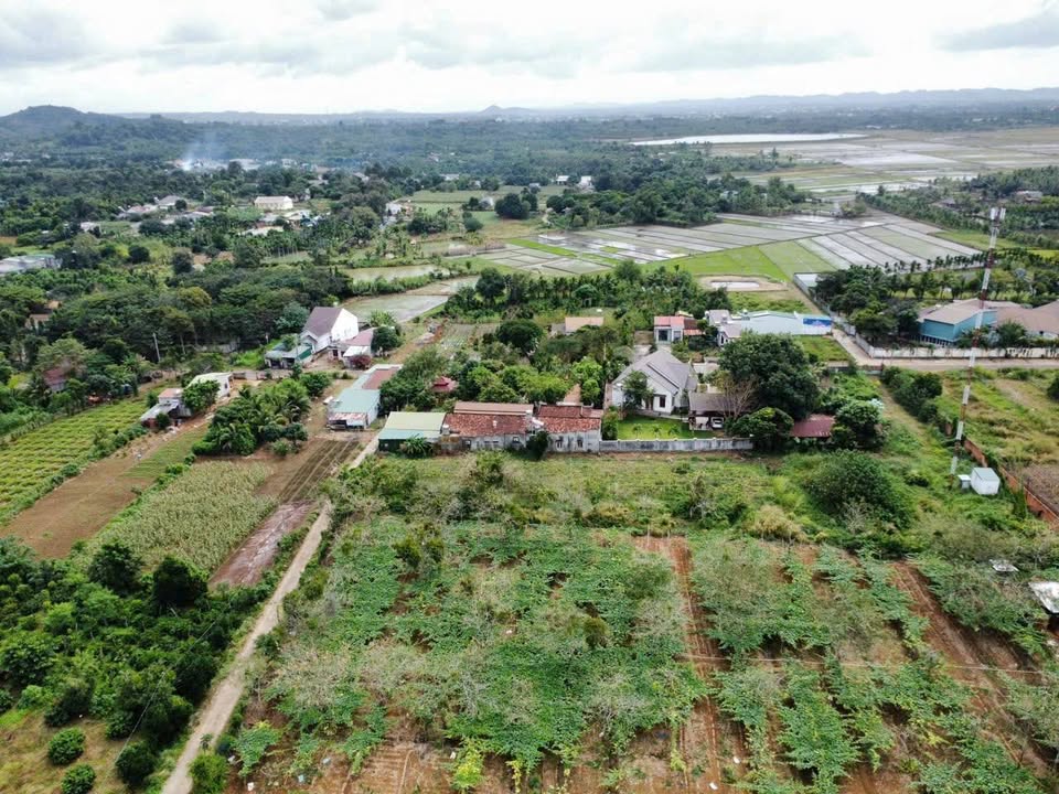 Đất nền Phường Thành Nhất, Buôn Ma Thuột 100m² giá 649 triệu - Đầu tư sinh lời ngay!