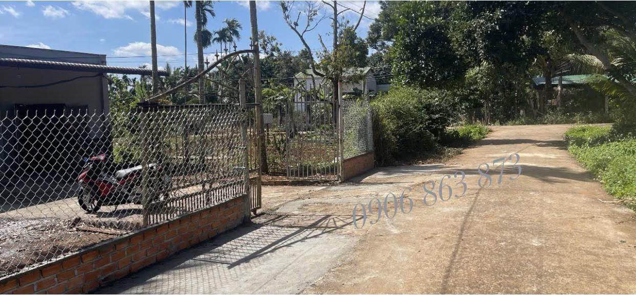 Nhà cấp 4 Hoà Thắng, Tân Lập 230m² giá 2.6 tỷ - Sẵn sàng ở ngay!