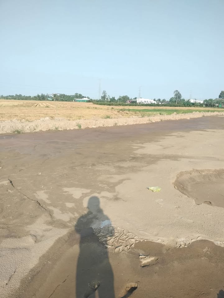 Đất nền Gò Công Đông 254m² giá chỉ 539 triệu - Sổ hồng chính chủ!