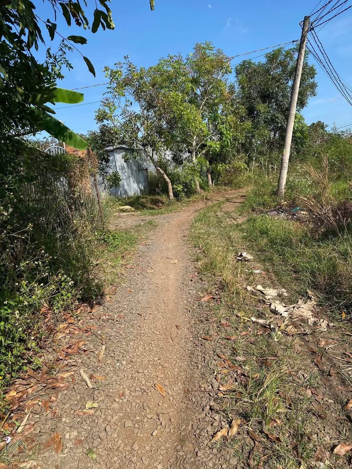 Đất nền Phú Tân Định Quán 1440m² giá 300 triệu - Cơ hội đầu tư tuyệt vời!