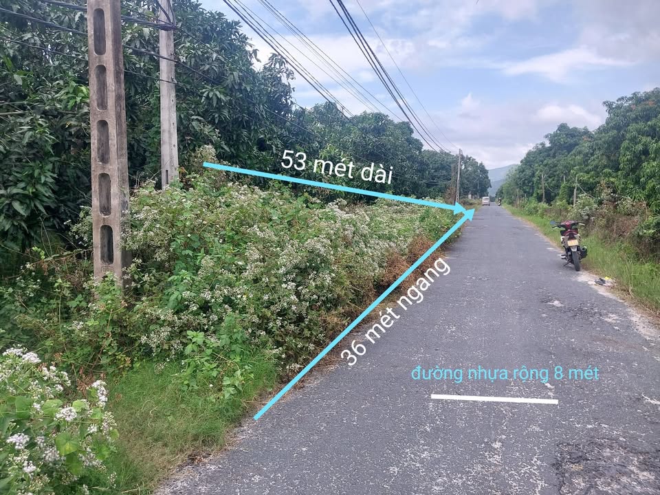 Đất nền Cam Đức 1908m² giá 33 triệu/m ngang - Đầu tư sinh lời ngay!