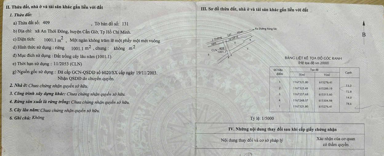 Đất nền 1001m² xã An Thới Đông, Cần Giờ - Đầu tư sinh lời hấp dẫn!