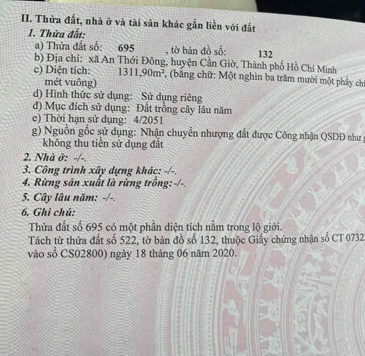 Đất nền An Thới Đông, Cần Giờ 1311m² - Đầu tư sinh lời hấp dẫn!