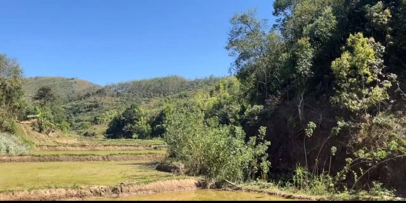 Đất nền 1ha Đăk Bla, Kon Tum giá 400 triệu - Gần công an tỉnh, tiềm năng phát triển!