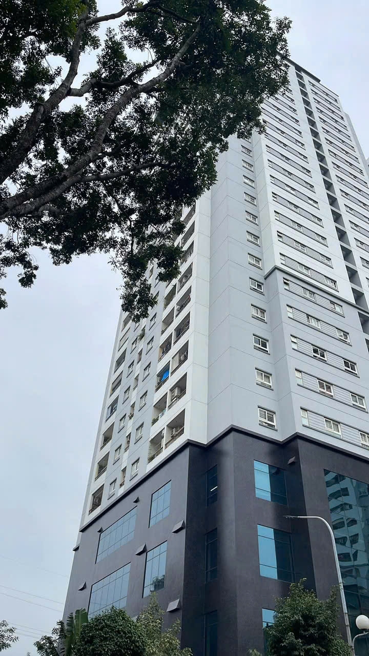 Căn hộ chung cư Nam Đô 98m² giá 8.4 tỷ - Lô góc, thiết kế tối ưu