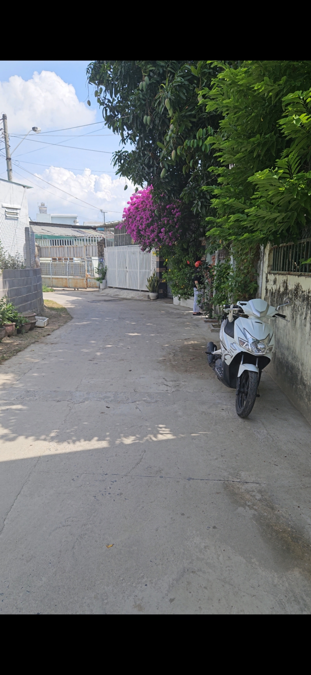 Đất Thủy Tú Vĩnh Thái Nha Trang 250m² giá 9.6 tỷ - Biệt thự nhà vườn lý tưởng!