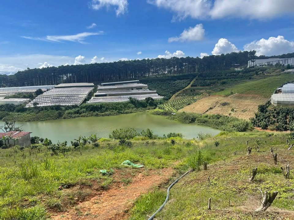 Đất nền phường Xuân Trường Đà Lạt 1300m² - View hồ và rừng thông tuyệt đẹp!