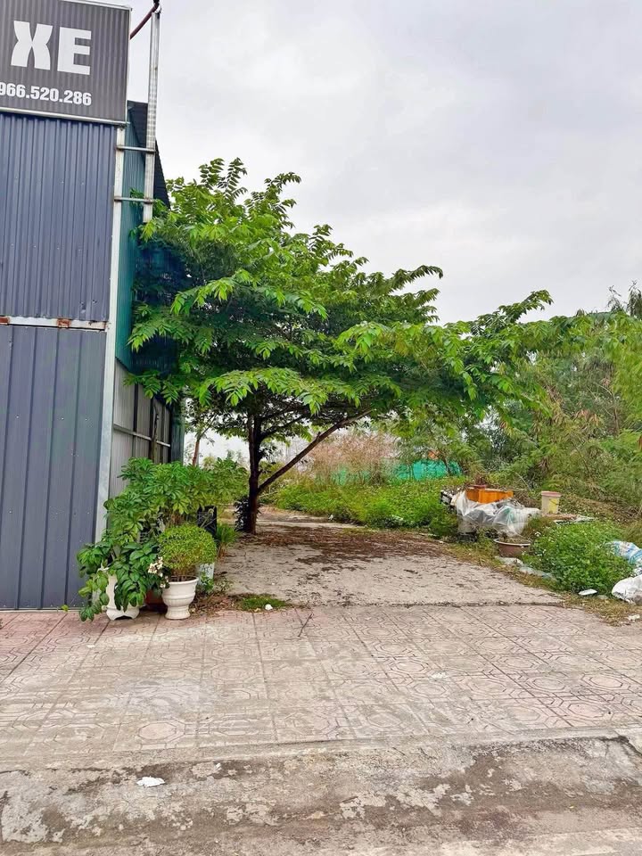 Đất nền Vạn Ninh Móng Cái 96m² giá chỉ 4 triệu/m² - Cơ hội đầu tư hấp dẫn!