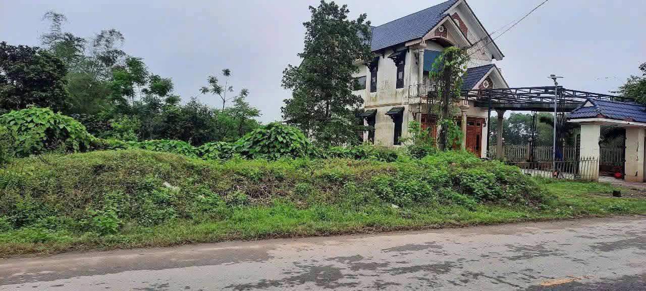 Đất nền 300m² mặt tiền Lê Lợi - Hải Phú giá 1.35 tỷ - Đầu tư lý tưởng!