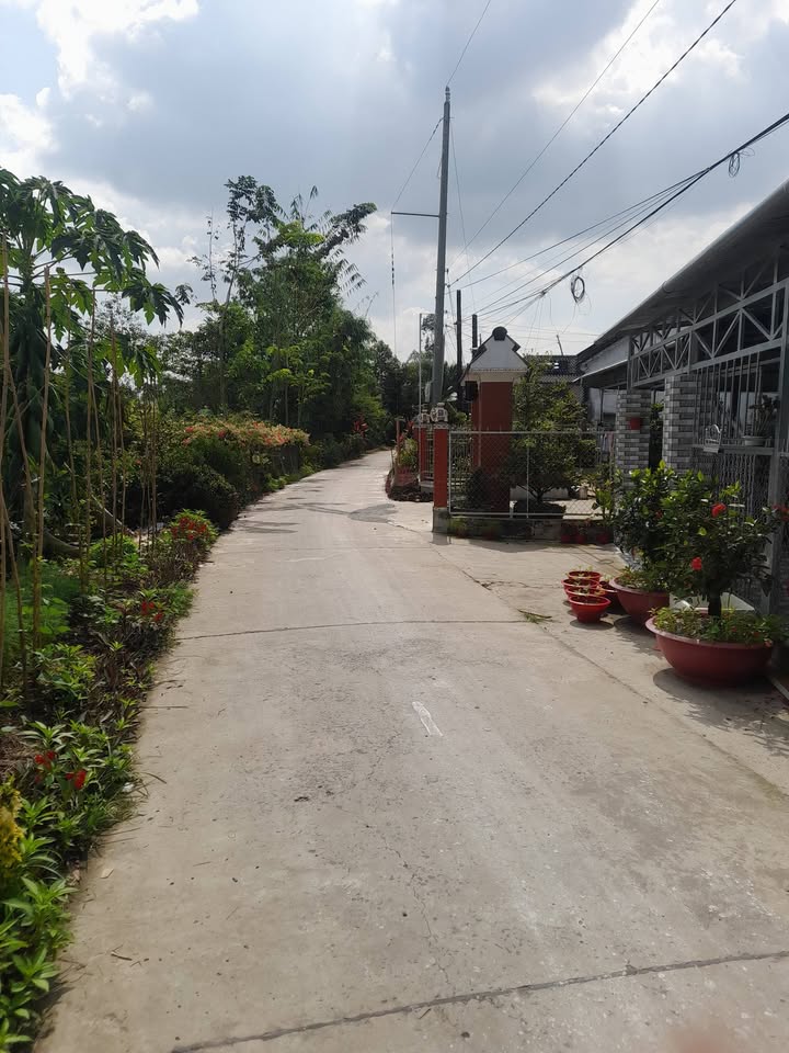 Bán đất vườn Tân Phước, Lai Vung 18.000m² - Giá chỉ 1.9 tỷ, thuận tiện trồng cây ăn trái!