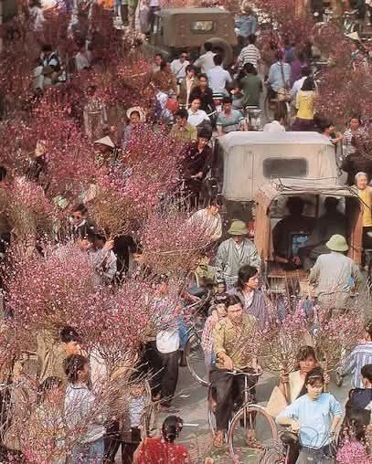 Đất thổ cư mặt tiền Âu Cơ, Pleiku 1078m² giá 7 tỷ - Cơ hội đầu tư tuyệt vời!