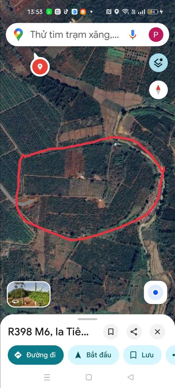 Farm 7,2ha tại xã Ia Tiem, Chư Sê chỉ 11 tỷ - Đầu tư sinh lời cao!