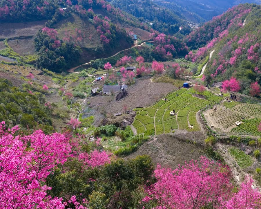 Căn hộ Park 6 Bình Thạnh 126m² giá 16.85 tỷ - View sông tuyệt đẹp!