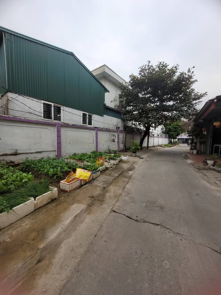 Nhà 3 tầng Đường Hữu Nghị, Chí Linh, Hải Dương - Kinh doanh phòng trà tiềm năng!