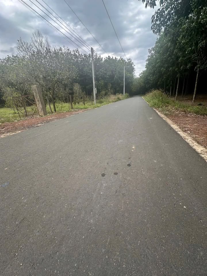 Đất thổ cư 285m² Minh Thạnh, Dầu Tiếng giá 400 triệu - Cơ hội đầu tư tuyệt vời!