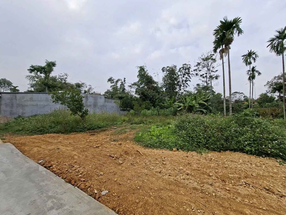 Đất nền Tràng Đà, Tuyên Quang 150m² - Pháp lý rõ ràng, giao thông sầm uất!