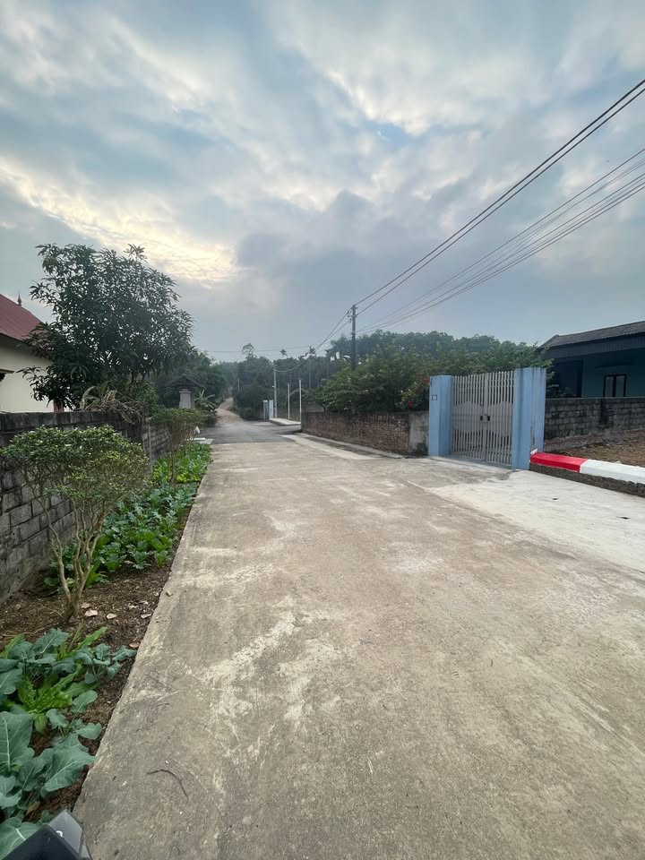 Đất nền Cẩm An, Ba Vì 114m² giá chỉ 900 triệu - Đường ô tô vào tận nơi!