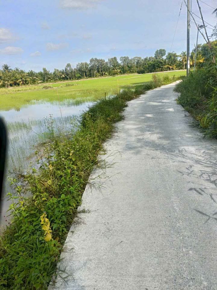 Đất nông nghiệp Lộc Hòa 9000m² giá 1.125 tỷ - Cơ hội đầu tư hấp dẫn!