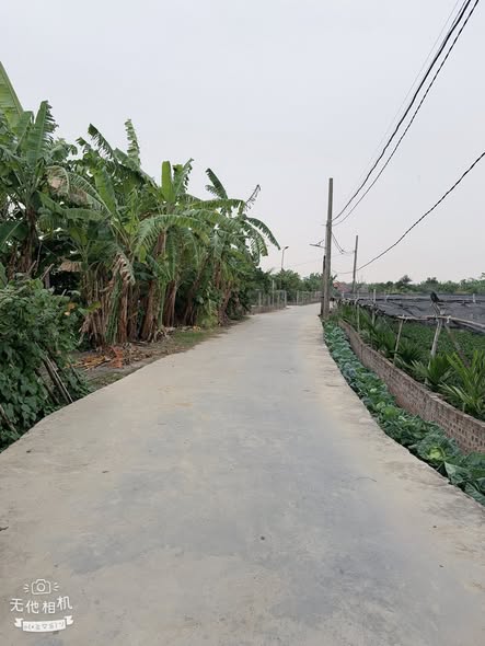 Đất nền Nam Sách Hải Dương 115m² giá 8xx triệu - Đường rộng ô tô tránh nhau!