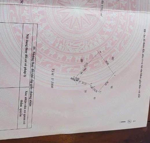 Đất nền Tân Hưng, Đồng Phú, Bình Phước 1800m² - Sang gấp chỉ 590 triệu!