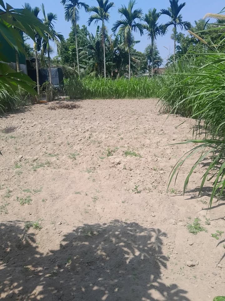 Đất nền Tịnh Châu 174m² giá 670 triệu - Gần chợ, ô tô vào tận nơi!