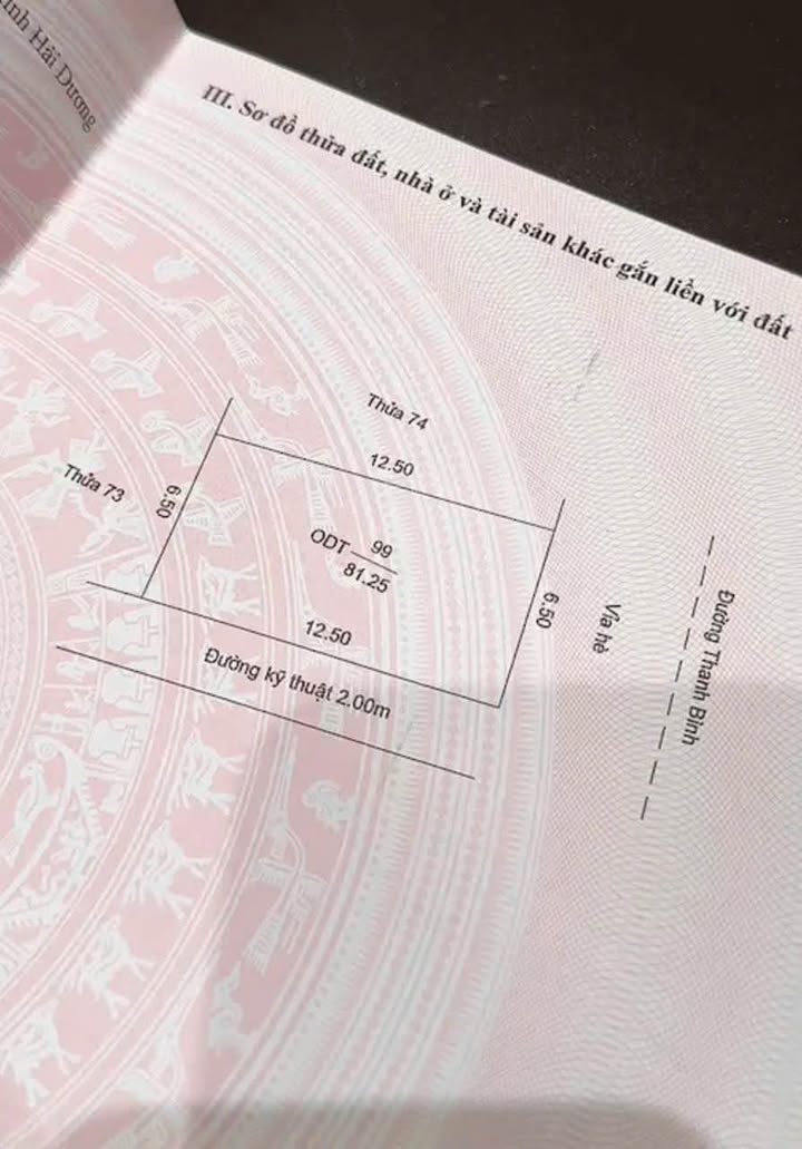 Lô đất mặt đường đôi Thanh Bình Hải Dương 81m² giá 10.912 tỷ - Đầu tư sinh lời cao!