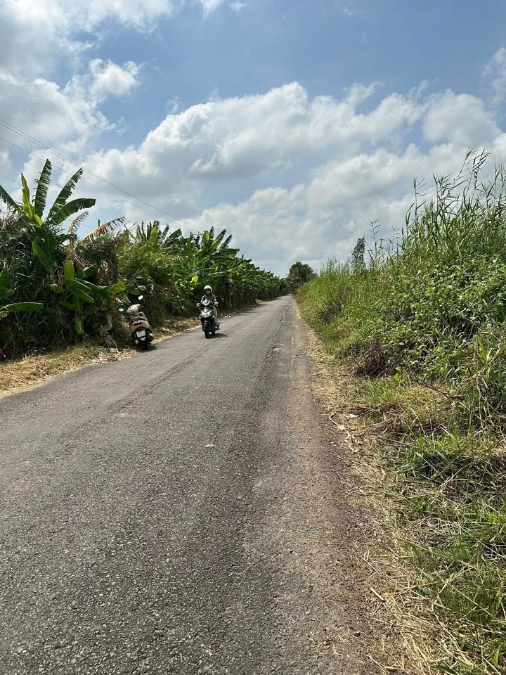 Đất nền ấp Minh Tiến A, Kiên Giang 16,000m² - Giá tốt, thuế bao trọn!