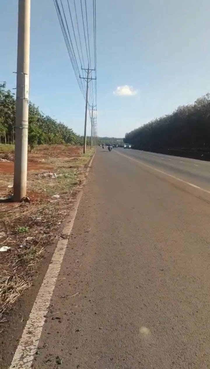 Đất vườn Phước Bình 2,5ha giá 3,8 tỷ - Đường lớn ô tô vào tận nơi!