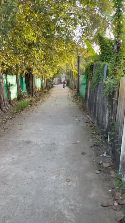 Đất nền mặt tiền chợ Trà Cuông, Thạnh Quới, 54.6m² giá chỉ 290 triệu - Cơ hội đầu tư hấp dẫn!