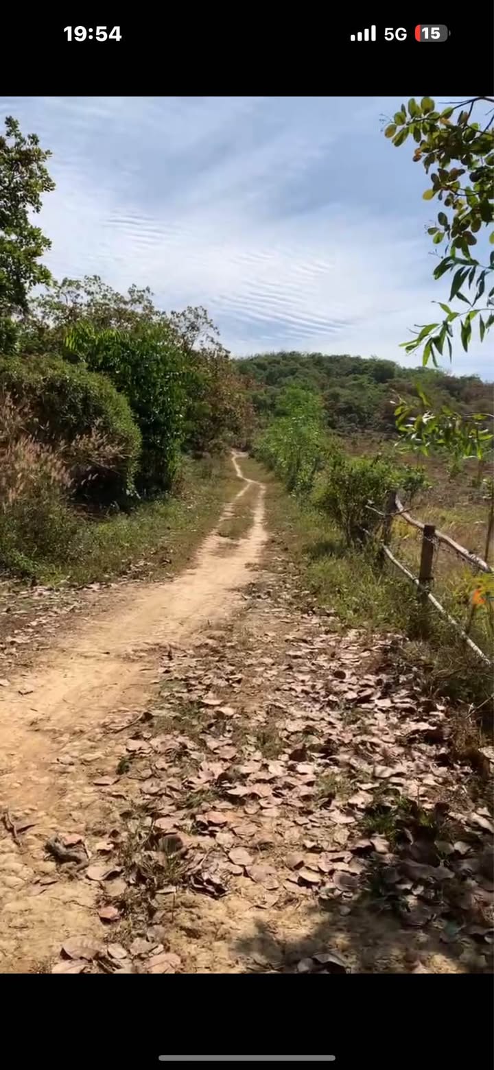 Đất nền Đồng Tâm, Đồng Phú 8200m² giá 1.05 tỷ - Cơ hội đầu tư tuyệt vời!