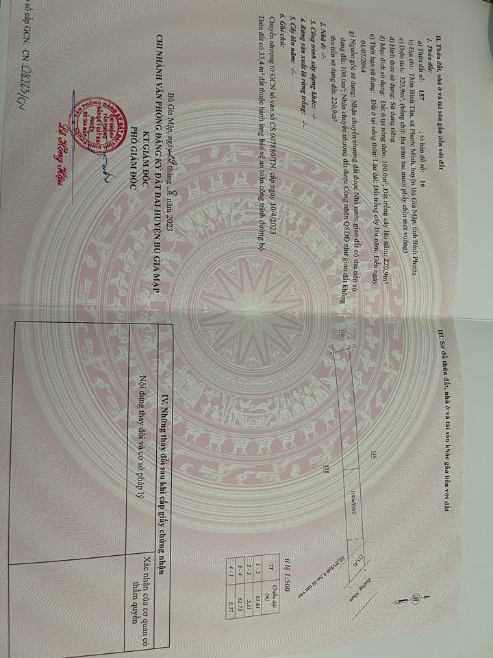 Đất nền Phước Minh Bù Gia Mập 300m² giá 270 triệu - Đầu tư sinh lời ngay!