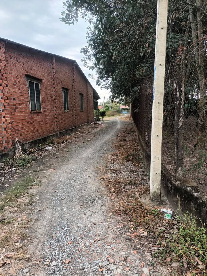 Đất ở đô thị Trảng Bàng, Tây Ninh 110m² giá 450 triệu - Cơ hội đầu tư hấp dẫn!