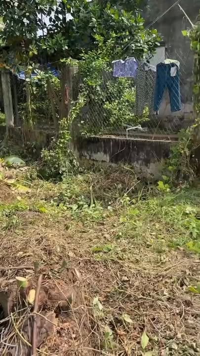 Đất thổ cư 398,4m² tại Tân Quới, Vĩnh Long giá 2.3 tỷ - Đầu tư sinh lời ngay!