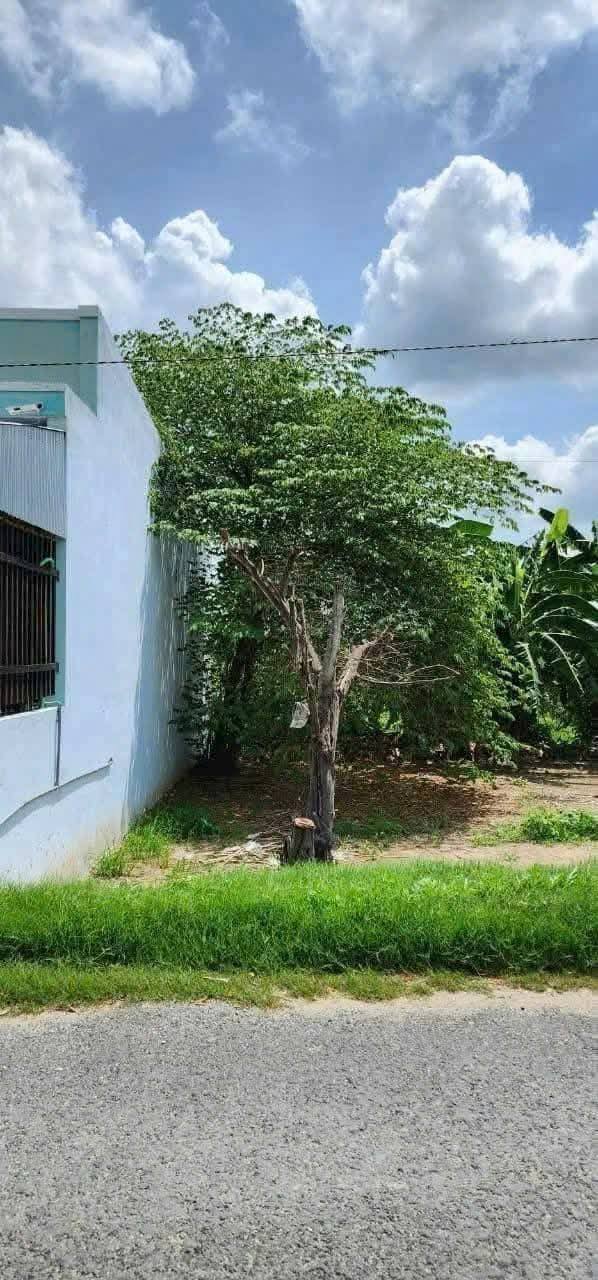 Đất nền Tân Hạnh, Vĩnh Long 120m² giá 650 triệu - Đầu tư sinh lời ngay!