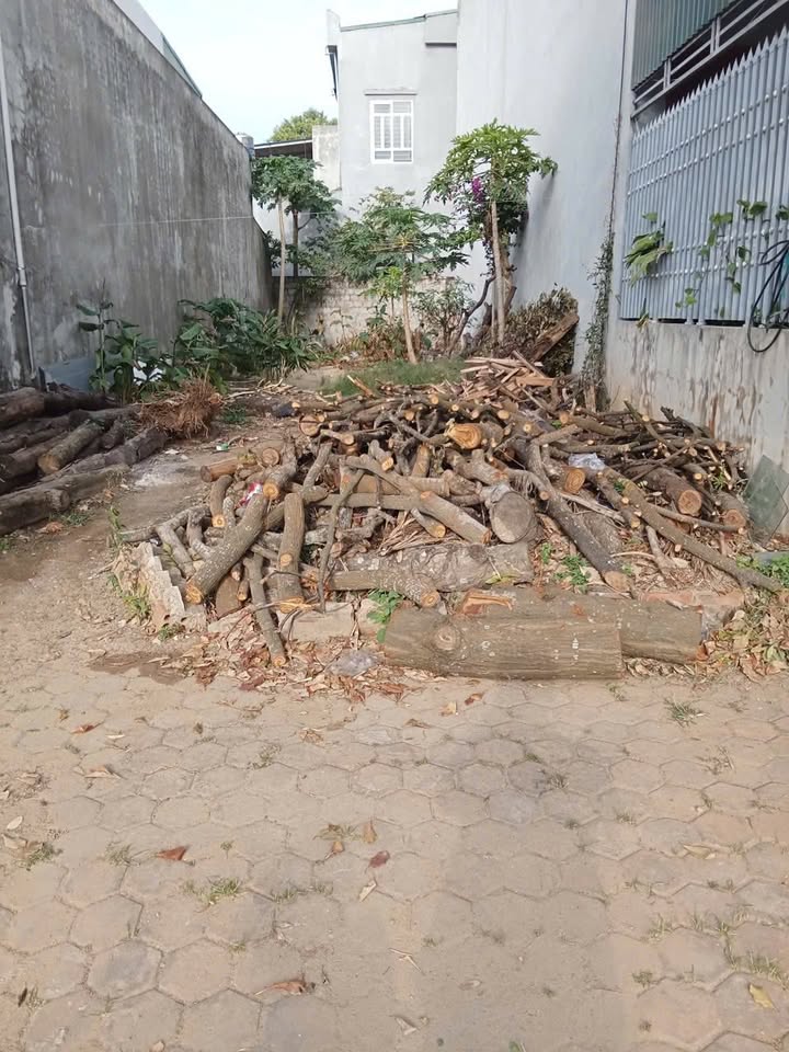 Đất thổ cư 100m² tại Sầm Sơn - Giá chỉ 4.1 tỷ, đầu tư sinh lời ngay!