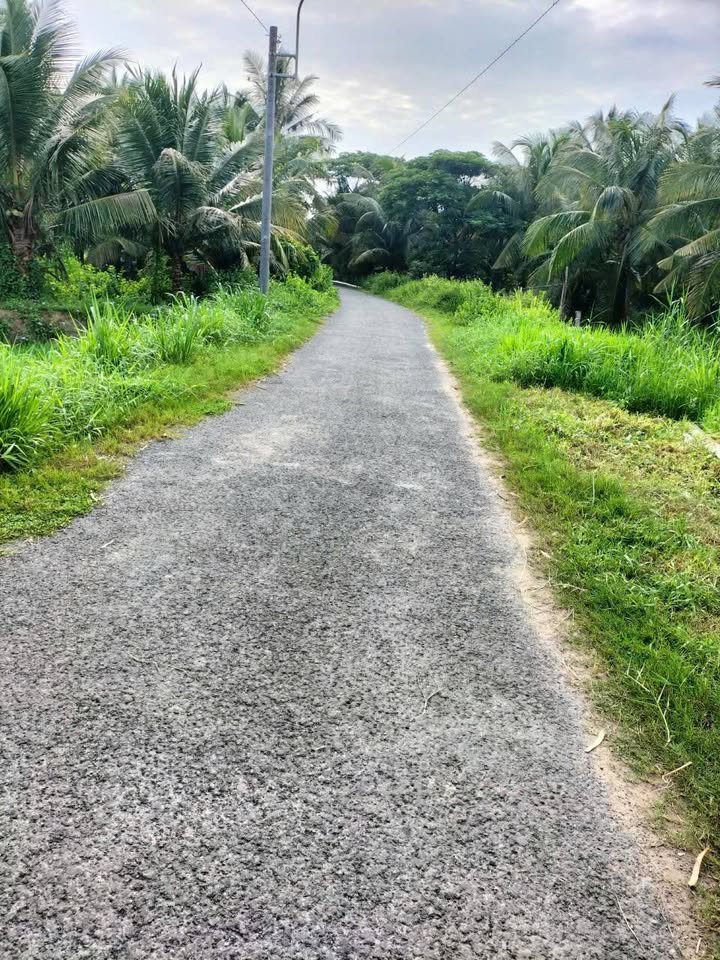 Đất trồng dừa Long Đức 4,4 công giá 4,4 tỷ - Đầu tư sinh lời hấp dẫn!