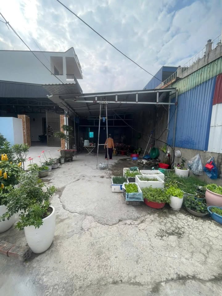 Nhà phố Hoa Động Thủy Nguyên 120m² giá 2 tỷ - Chính chủ, sẵn sàng giao dịch!