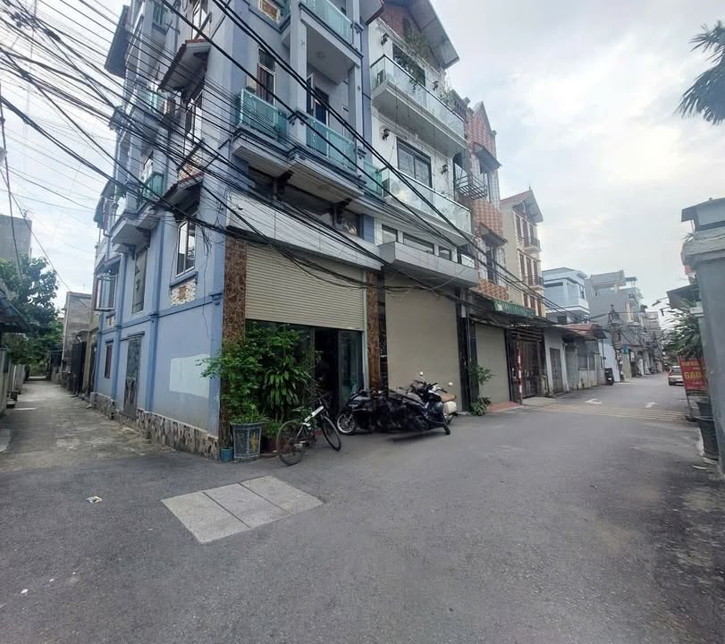 Đất nền Ngũ Hiệp Thanh Trì 100m² - Vị trí đắc địa, giá tốt cho nhà đầu tư!