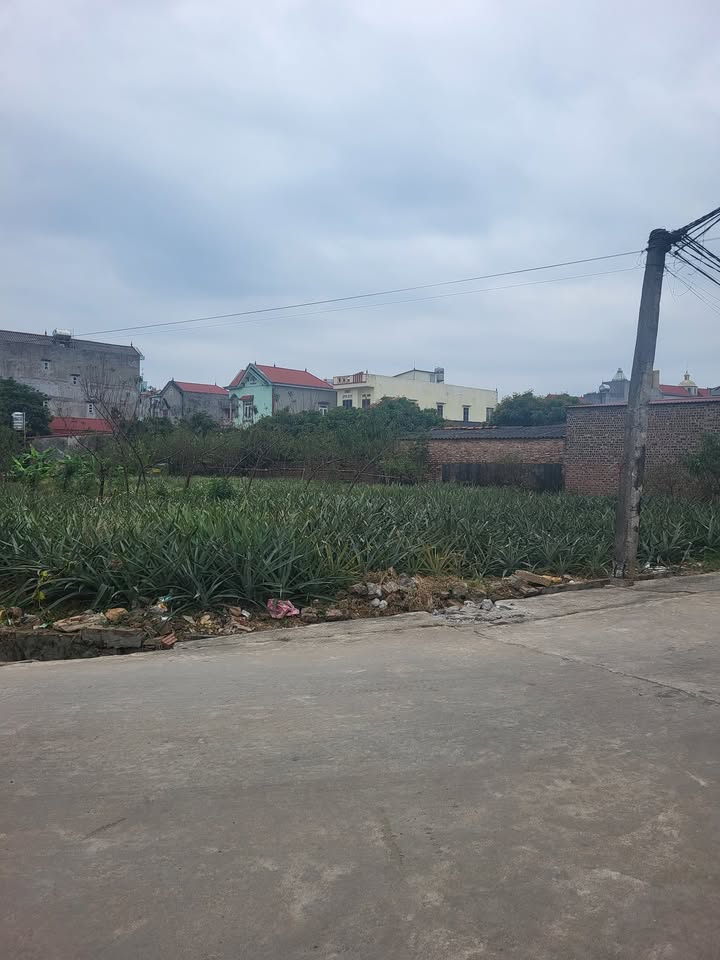 Đất mặt tiền Lan Mẫu Lục Nam 109,6m² giá thỏa thuận - Đối diện trường học, sát chợ