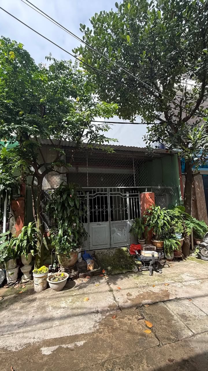 Đất nền Sơn Trà Đà Nẵng 97,5m² giá thỏa thuận - Vị trí gần biển lý tưởng!